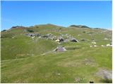 Za Ušivcem - Kapela Marije Snežne (Velika planina)